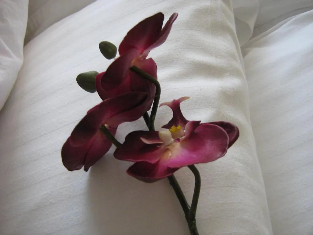 Yonge Suites Furnished Apartments Toronto Hotel